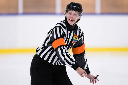 Domare Katarina Timglas