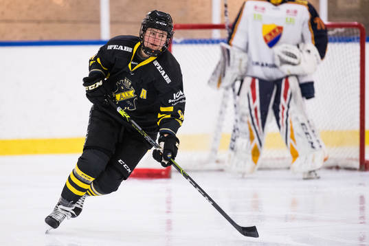 s Erica Uden Johansson