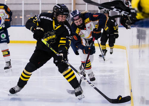 s Linnea Hedin och Djurgårdens Abby Cook