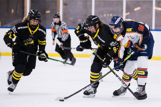 s Erica Uden Johansson och Djurgårdens Andrea Dalen