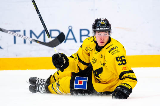 Västerås Alexander Lunsjö