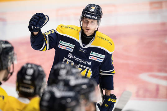 s Alexander Bergström jublar