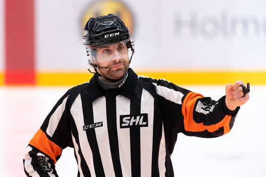 Domare Mikael Sjöqvist
