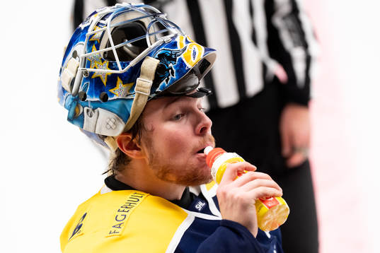 s målvakt Hugo Alnefelt