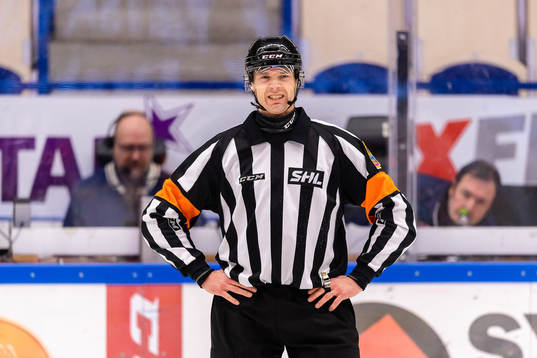 Domare Mikael Andersson