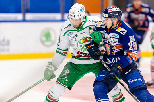 Rögles Mattias Sjögren