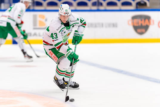 Rögles Olli Palola