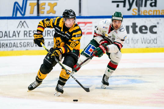 Skellefteås Tyler Morley och Frölundas Viktor Ekbom
