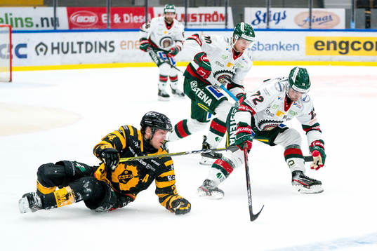Frölundas Patrik Carlsson och Skellefteås Andreas Wingerli