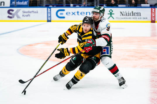 Skellefteås Tyler Morley och Frölundas Jan Mursak