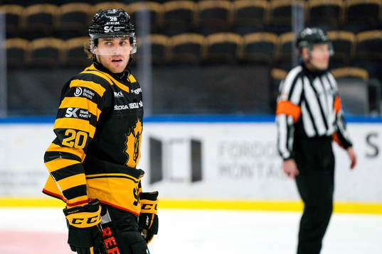 Skellefteås Roland McKeown