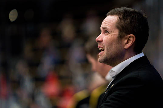 Skellefteås assisterande tränare Stefan Hedlund