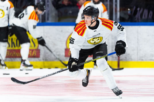 Brynäs Noel Gunler