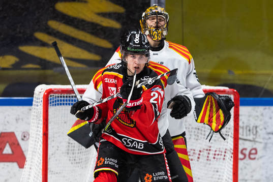 Luleås Radek Muzik