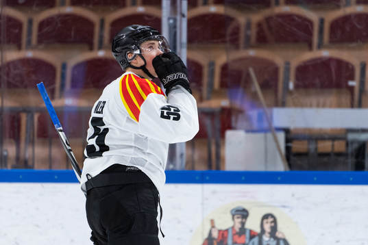 Brynäs Noel Gunler