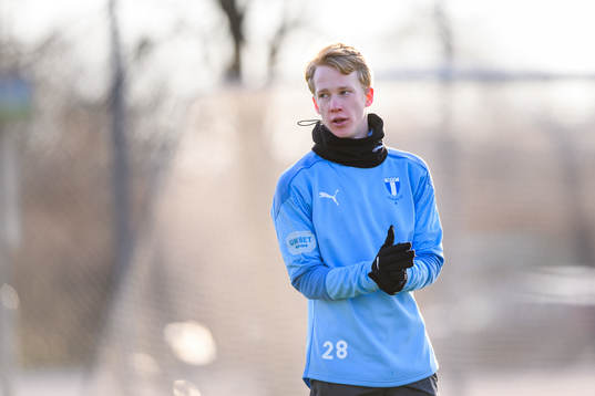 David Edvardsson