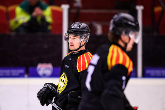 Brynäs Adam Pettersson