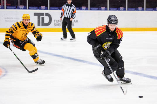 Skellefteås Jonathan Johnson och Brynäs Niclas Andersén