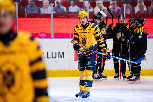 Skellefteås Arvid Lundberg deppar