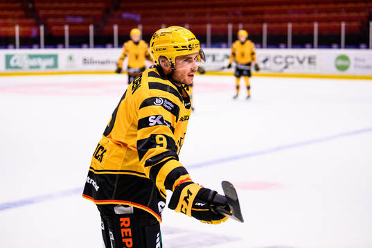Skellefteås Darren Nowick