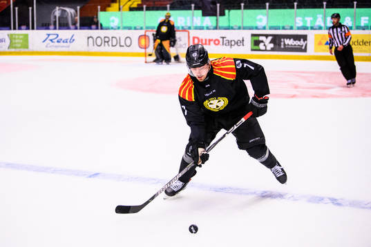 Brynäs Marcus Björk
