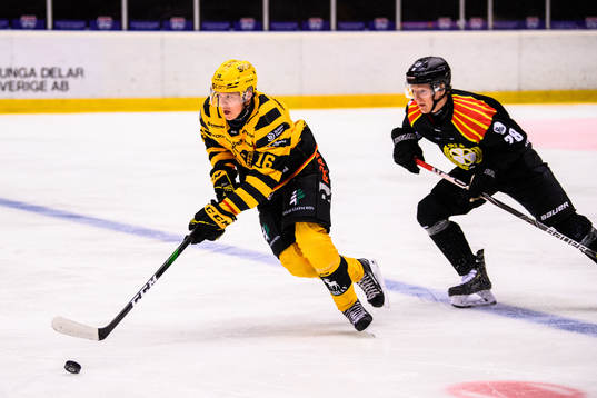 Skellefteås Linus Lindström och Brynäs Oskar Kvist
