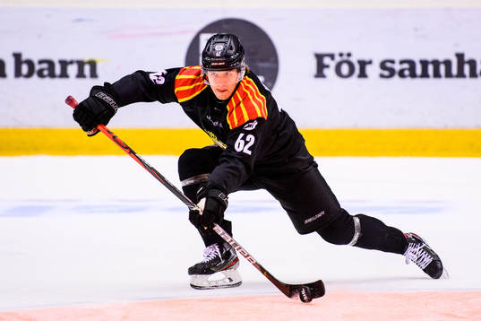 Brynäs Tom Hedberg
