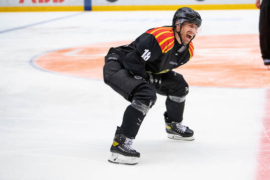 Brynäs Anton Rödin