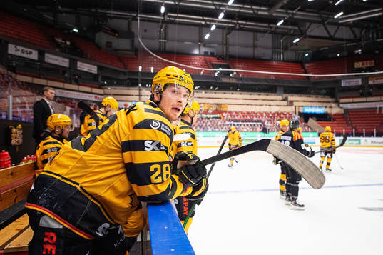 Skellefteås Jesper Frödén i diskussion med spelarna i