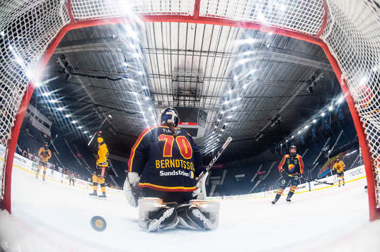 Luleås spelare jublar