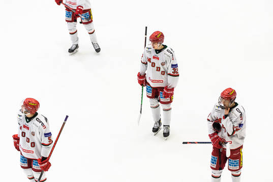 Modos Frank Corrado, Jeremias Lindewall och William
