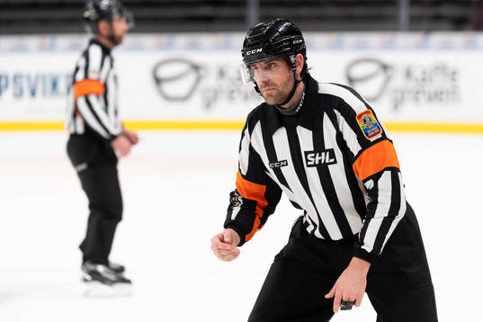 Domare Mikael Sjöqvist