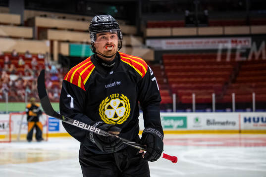 Brynäs Marcus Björk