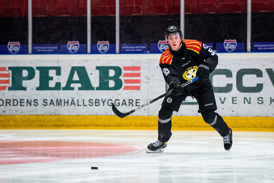 Brynäs Noel Gunler