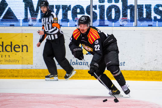 Brynäs Adam Pettersson