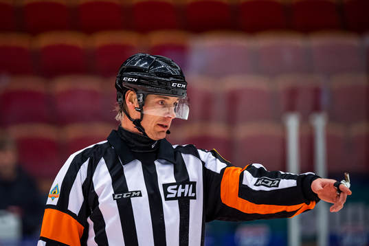 Domare Mikael Andersson