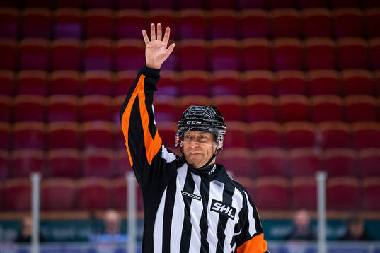 Domare Sören Persson
