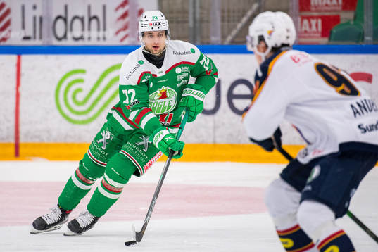 Rögles Daniel Zaar