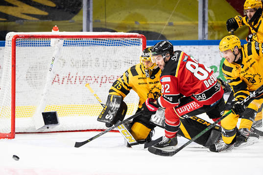 Skellefteås målvakt Arvid Söderblom och Luleås Chris