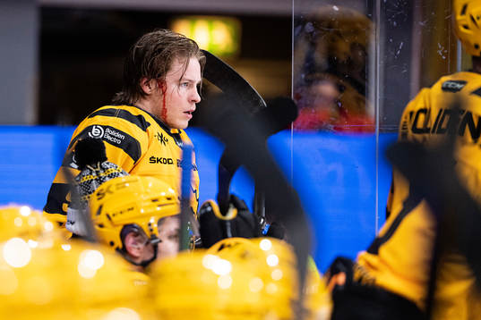 Skellefteås Rickard Hugg blöder