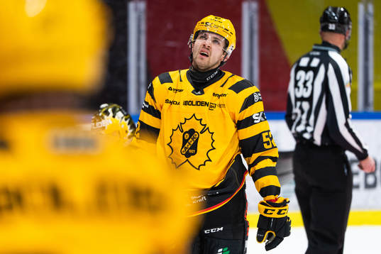 Skellefteås Arvid Lundberg deppar