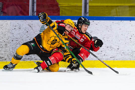 Skellefteås Oskar Nilsson och Luleås Erik Gustafsson