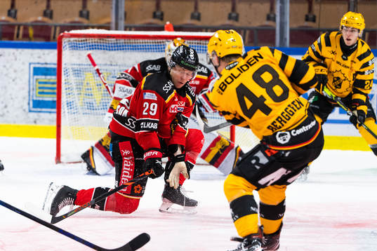 Luleås Erik Gustafsson täcker skott
