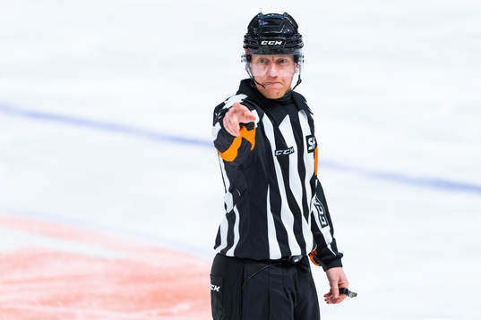 Domare Mikael Holm