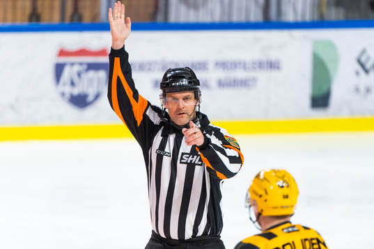 Domare Mikael Nord