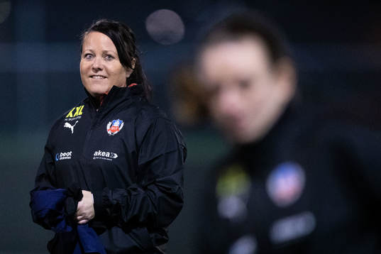 Helsingborgs operativt ansvariga för flick- och