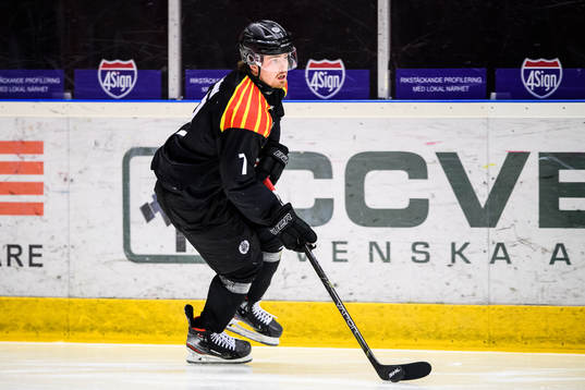 Brynäs Marcus Björk