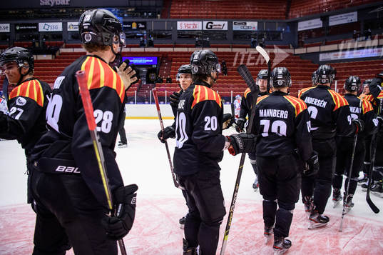 Brynäs spelare jublar