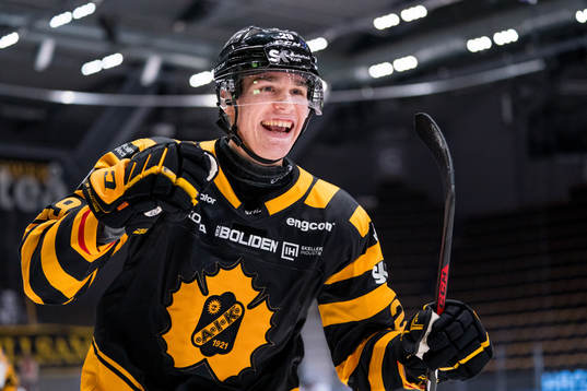 Bläddra bland fler bilder av Ishockey, SHL, Skellefteå - HV71