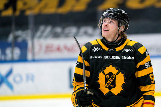 Skellefteås Rickard Hugg  jublar